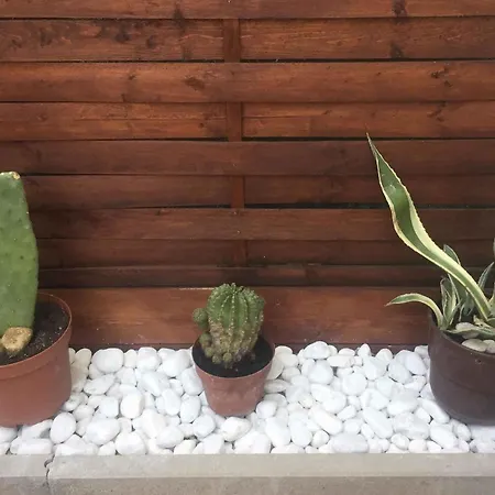 In - Balaton 20220 Casa vacanze